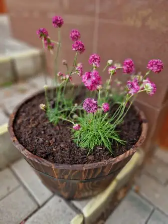 20250430_144635 - kopie