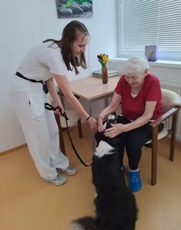 24c68b19-cc48-4621-b0ca-c8e36723b9b4