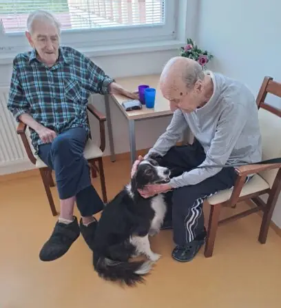 28133c75-9219-4be3-a737-96494c04800a