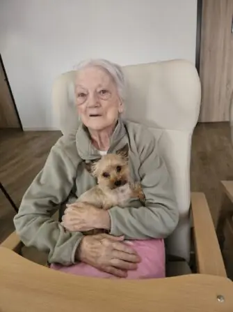 29d7369d-abde-4535-8f94-e40f363ebcc1