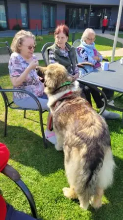 494114551_665872786155713_7107390248061917931_n