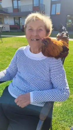 494129838_665874626155529_2532141678923324935_n