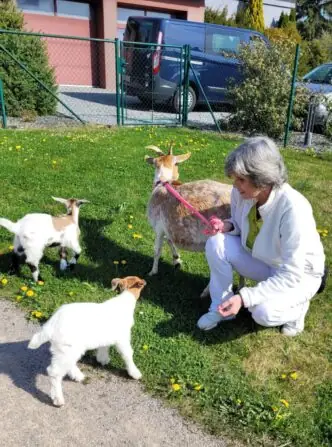 494290099_665871426155849_7137354304412428040_n