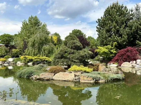 494356136_1212170690365789_423627358230899944_n