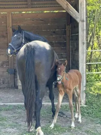 494690196_1741748473409407_5518488879922032841_n