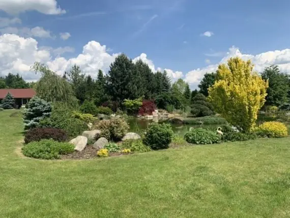 494817085_558114493720868_3826709876356037288_n