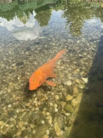 494867958_1364912957894075_3564456755139607639_n