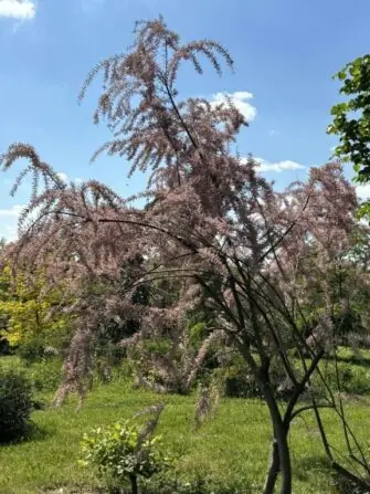 495073575_2704715589727541_3743379854328171547_n