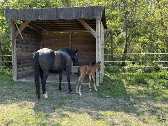 495075733_1803716443690611_8448265896484266208_n