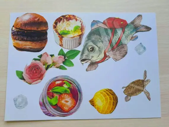 495192062_632733793101664_5807250607410756239_n