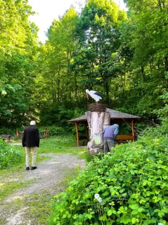 496241497_632852993089744_3691604012800045569_n