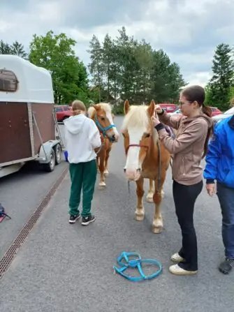 496408821_1112464114253955_362009375744975675_n