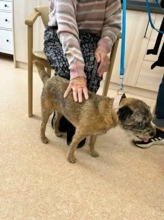 499365166_642153232159720_4496098578925892272_n