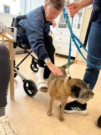 499817038_642153068826403_6960742096086321919_n