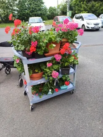 500062986_1124088596424840_3158374808659412424_n