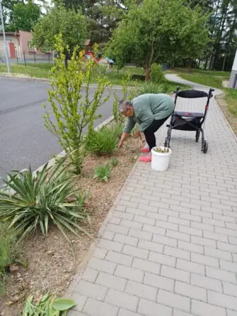 500419592_1124089913091375_3964590253400924319_n