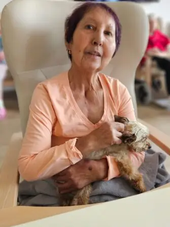 5b3fb8fd-7dce-4649-af00-a7a6bff040b3