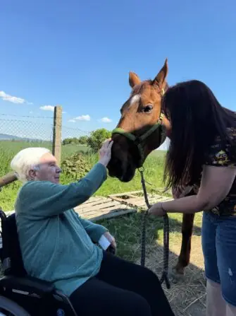 6e8334bc-4be3-4212-8037-aa07ed77170b