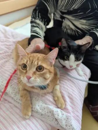 7_PXL_20250505_122458085