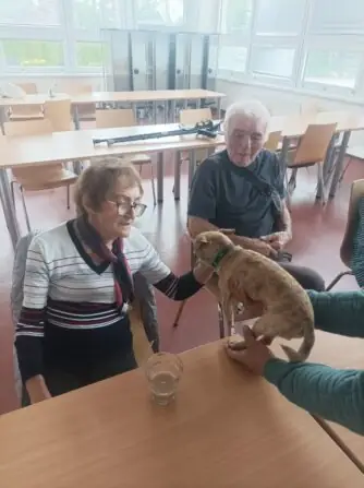 Obrázek WhatsApp, 2025-05-16 v 16.23.15_03647a4e