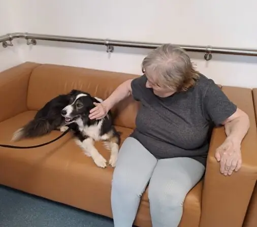 c31e0700-7911-4404-abe5-7bd874d72205