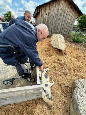 thumbnail_image1 (2)