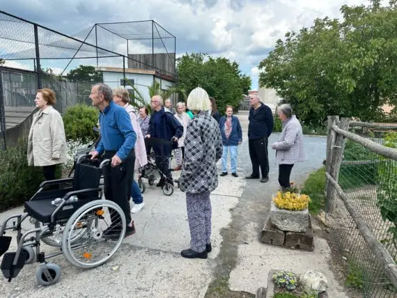 thumbnail_image7 (1)