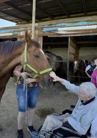 výlet ke koním (10)