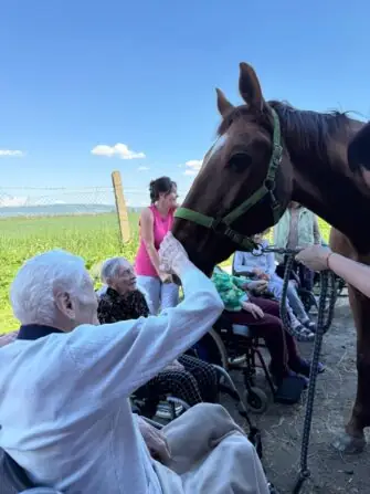 výlet ke koním (3)