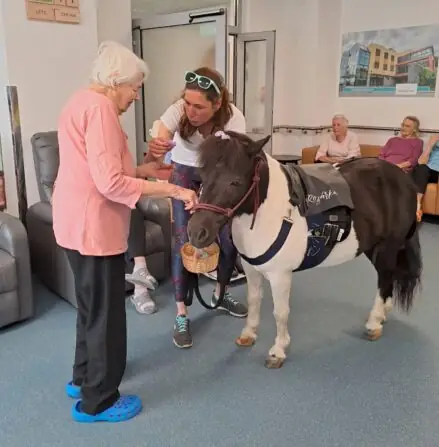 1a3500b7-7f5b-4b7f-af80-8ff75e0615fc