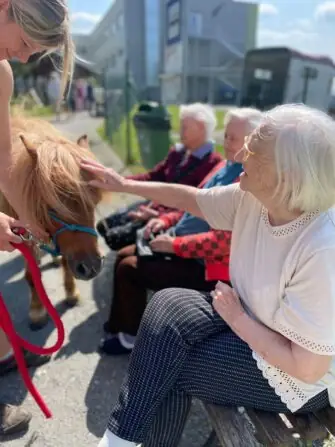 1d66e0db-6241-4c52-8aac-99685ea60a82