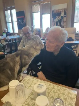 20fee5ff-c50a-4834-a533-08d2cfd19a11