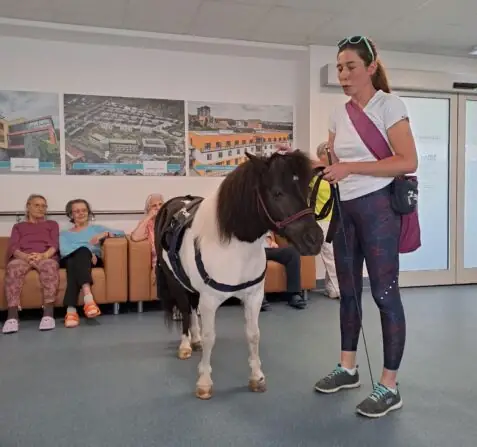 22b1fbdc-0d90-4a1f-847a-f676533ec3da