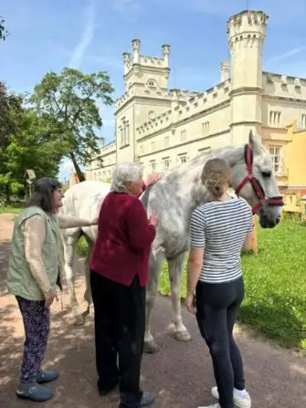 494688164_1480285810012764_4262524969342341773_n