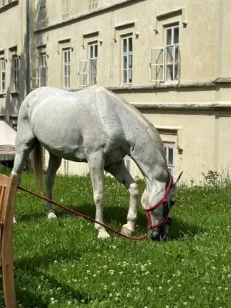 494689851_1213396730278309_8340137612755168125_n