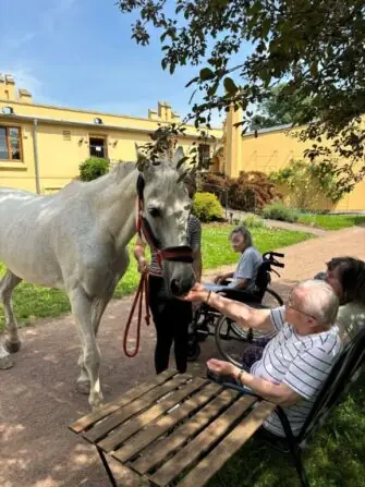 494691096_1402973717570397_4895228604144609434_n