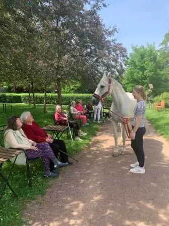 494869024_1774295756492769_1537356391665334508_n