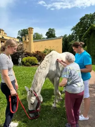 496509234_1234568414939053_6712554290441336291_n