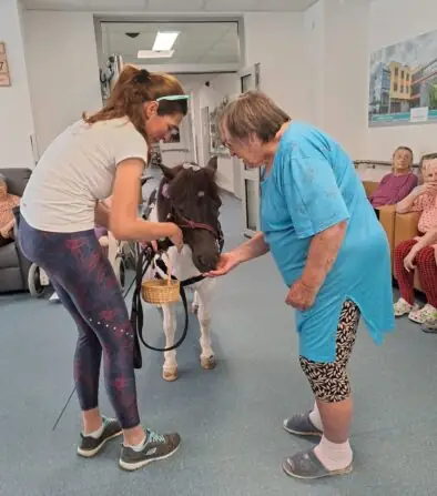 4fe7c34a-dabf-465e-a02e-2131ec68788e