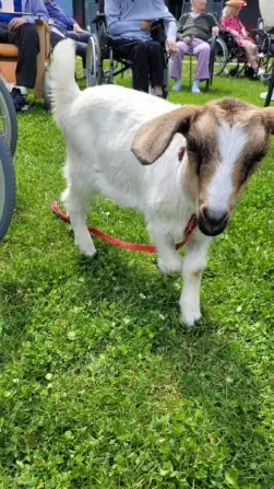 505356384_696312643111727_7403192053500464363_n