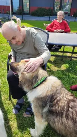 505403982_696311286445196_7455123496357405666_n