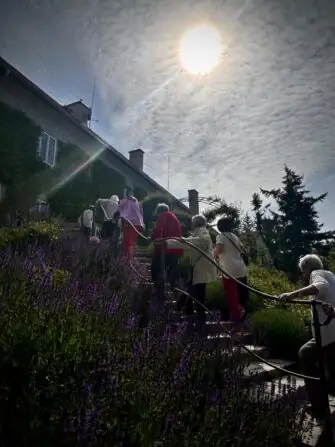 5b5e487a-1125-4322-9ee5-f412d3e4febf