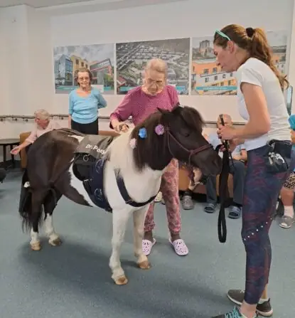 5df076c6-6f85-4645-8ed9-de66b95b8801