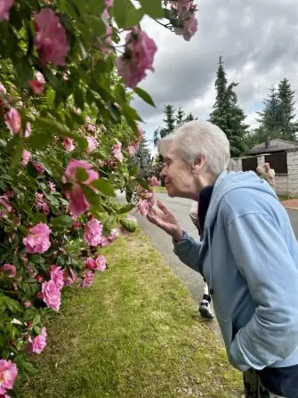 6a685878-3b89-40ee-b30d-f6bedcd2454b