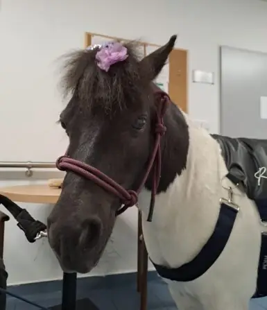 6d809b23-dc5b-4956-82b0-286b34878cf5