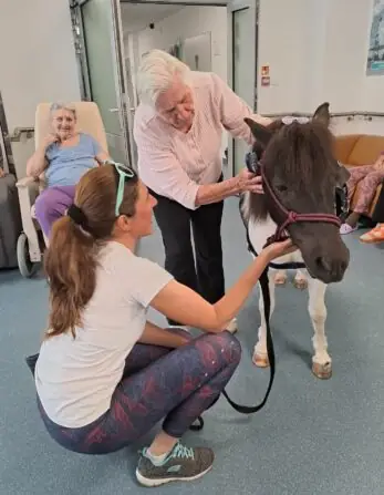 880e33da-f78c-4d84-a706-09b755456fe4