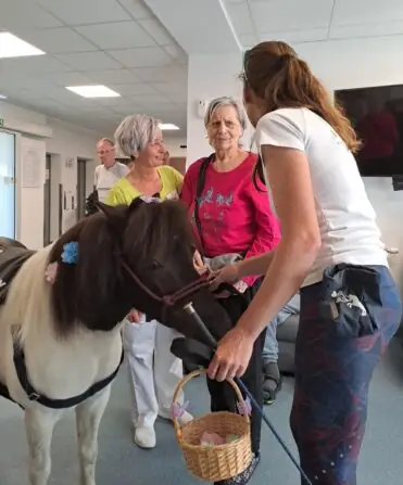 95a6052c-f673-4bf7-8beb-9bc243ed9dbe