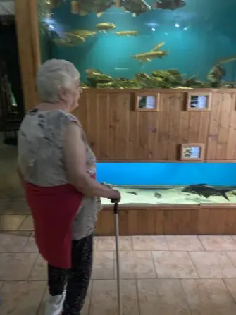 D03F309A-61FC-4265-BFA5-C486744D66A2