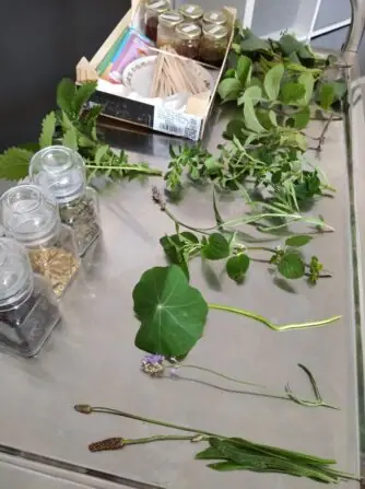 IMG_20250610_091339_1