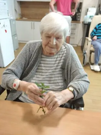 IMG_20250610_095823_1